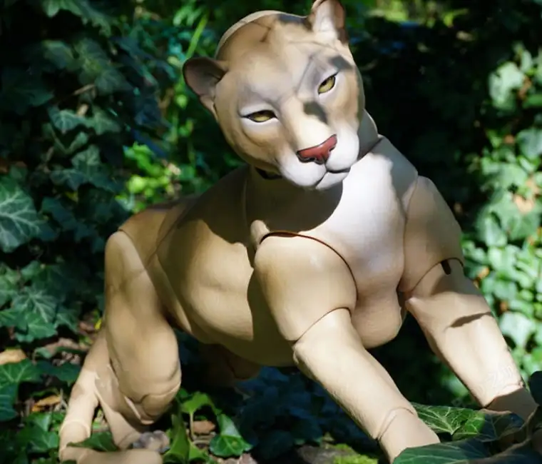 bjd doll panther sample b