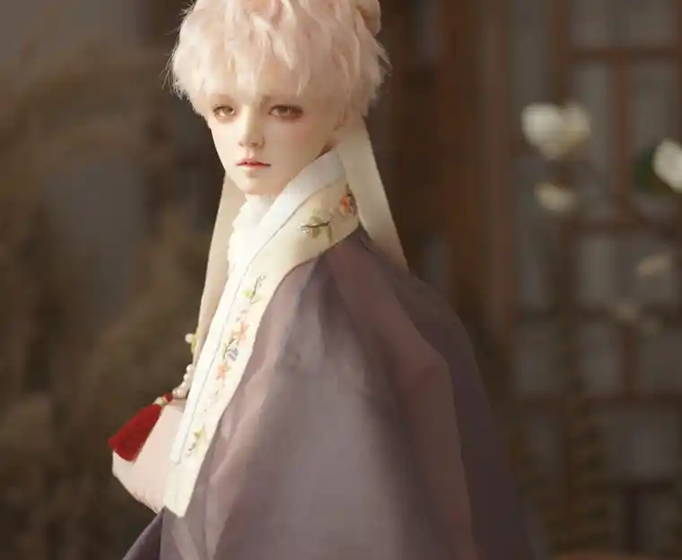 bjd doll jaeii sample