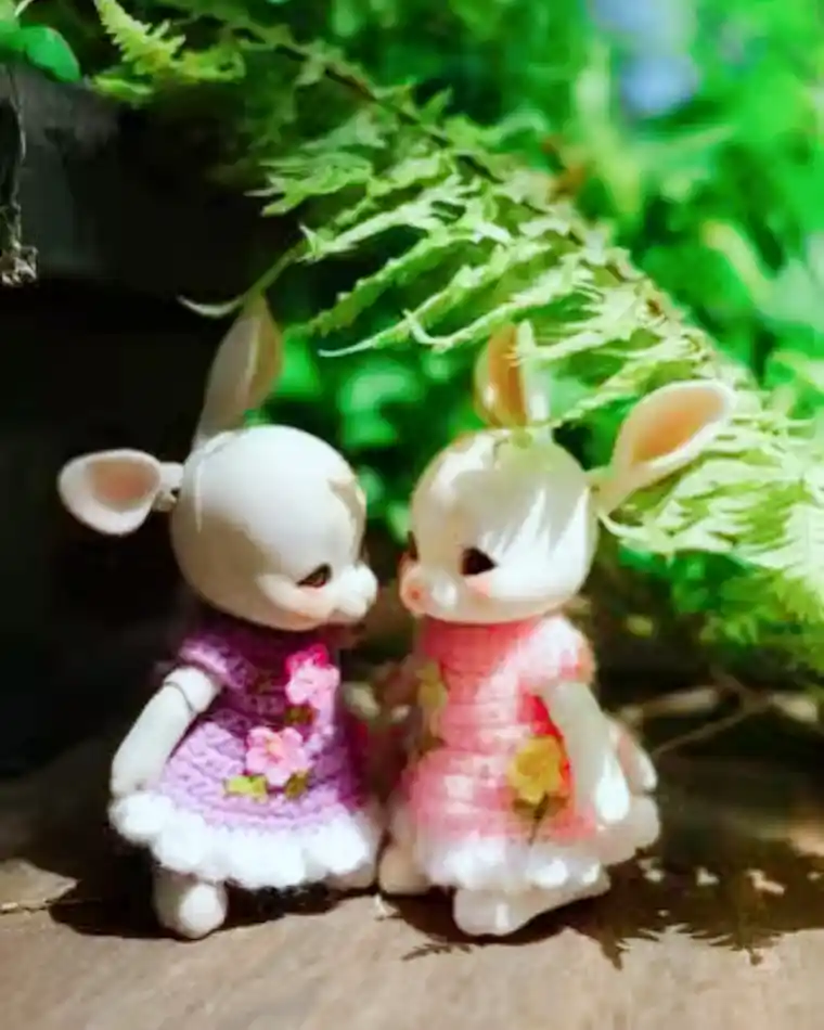 bjd doll mini rabbit show